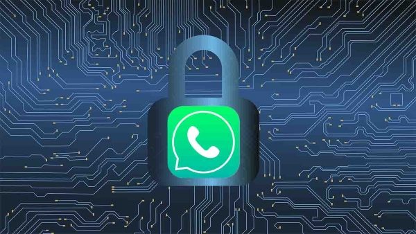 Follow These 5 Tips To Secure Your WhatsApp Chats From Being Tracked